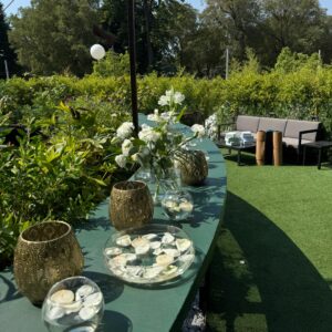 Yoga Class & Brunch